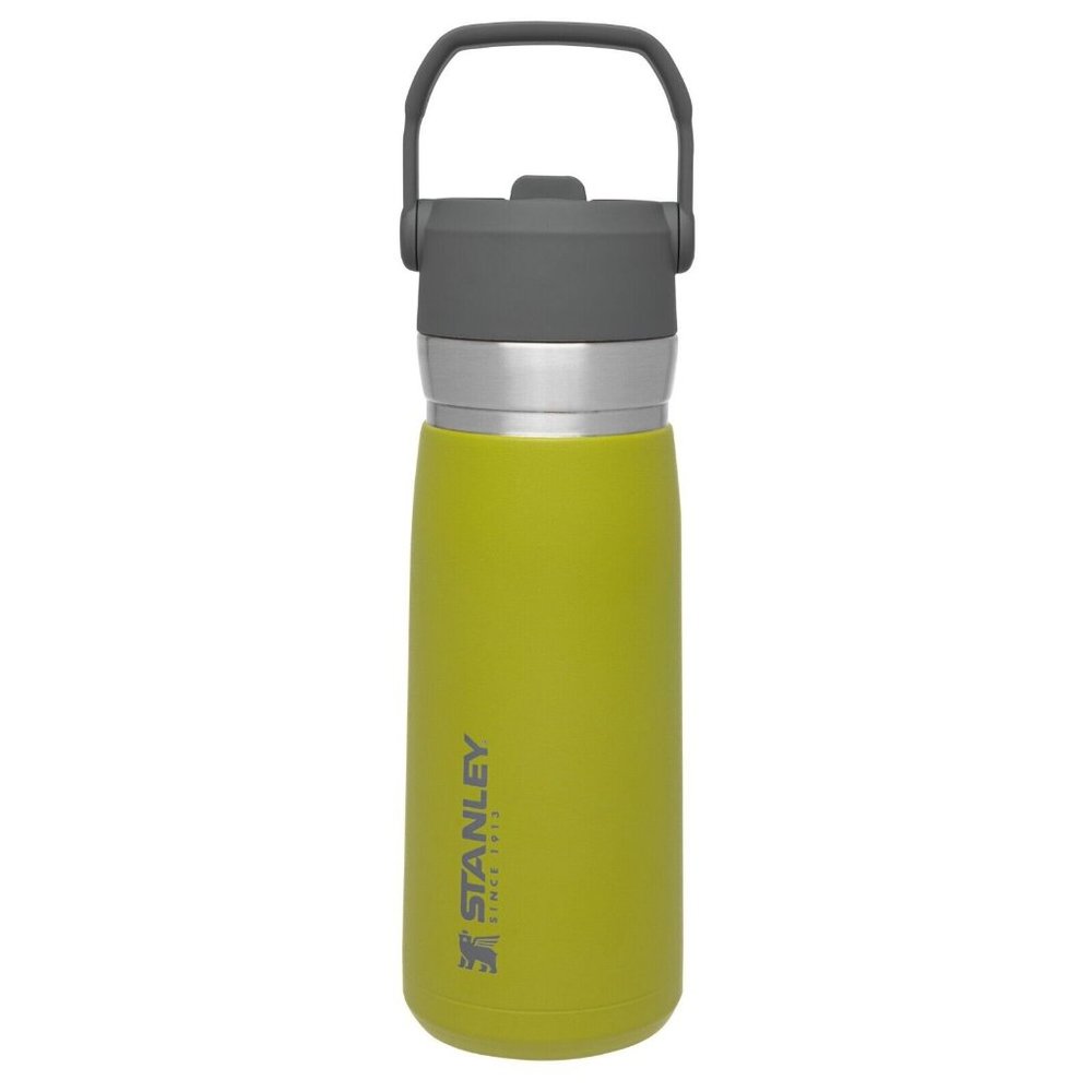 STANLEY 22 oz Green and Silver Insulated Stainless Steel Water Bottle with Straw